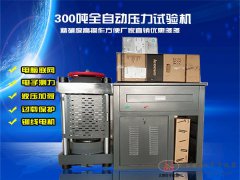 300吨全自动恒应力压力试验机DYE-3000D型电液伺服
